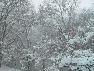 Прикрепленное изображение: 3а.jpg